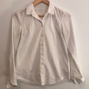 Everlane Slim Stretch Poplin Shirt